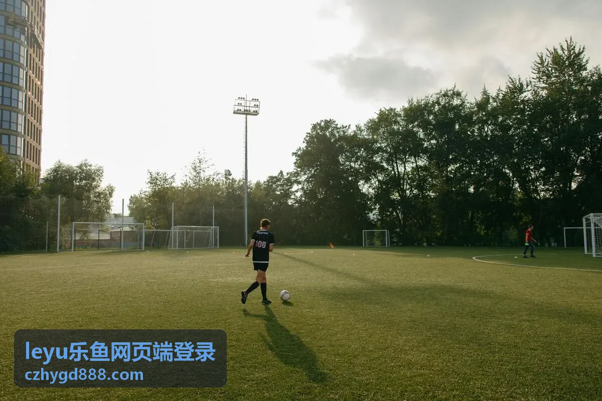leyu乐鱼网页端登录的入口页面示意